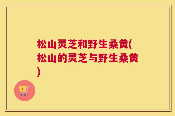 松山灵芝和野生桑黄(松山的灵芝与野生桑黄) 松山灵芝和野生桑黄(松山的灵芝与野生桑黄)