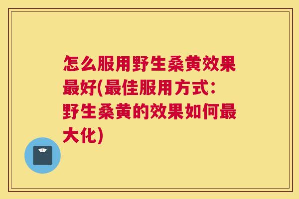 怎么服用野生桑黄效果好(佳服用方式:野生桑黄的效果如何大化) 怎么服用野生桑黄效果好(佳服用方式:野生桑黄的效果如何大化)