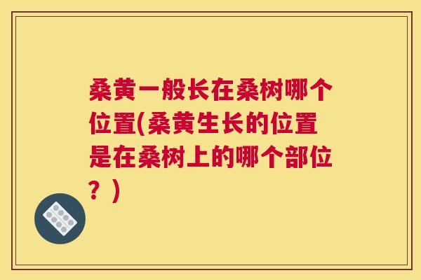 桑黄一般长在桑树哪个位置(桑黄生长的位置是在桑树上的哪个部位?) 桑黄一般长在桑树哪个位置(桑黄生长的位置是在桑树上的哪个部位?)