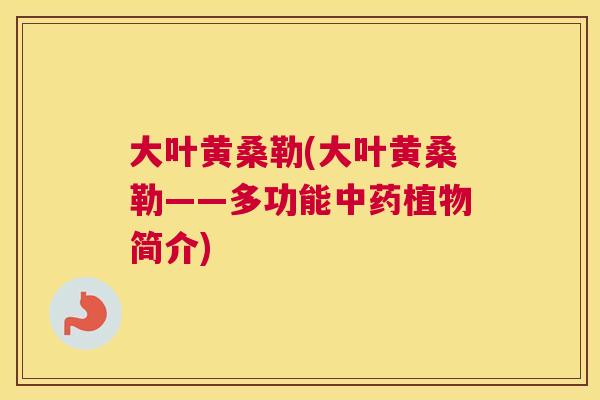 大叶黄桑勒(大叶黄桑勒——多功能植物简介) 大叶黄桑勒(大叶黄桑勒——多功能植物简介)