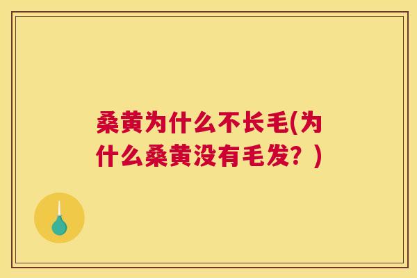 桑黄为什么不长毛(为什么桑黄没有毛发？)