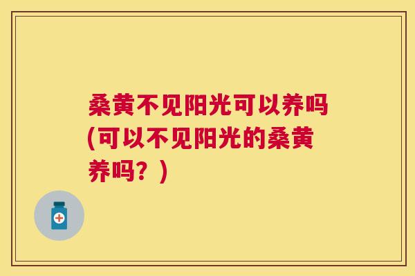 桑黄不见阳光可以养吗(可以不见阳光的桑黄养吗?) 桑黄不见阳光可以养吗(可以不见阳光的桑黄养吗?)
