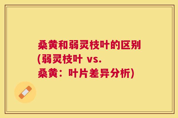 桑黄和弱灵枝叶的区别(弱灵枝叶 vs. 桑黄：叶片差异分析)