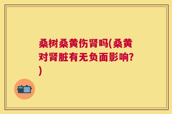 桑树桑黄伤吗(桑黄对脏有无负面影响?) 桑树桑黄伤吗(桑黄对脏有无负面影响?)