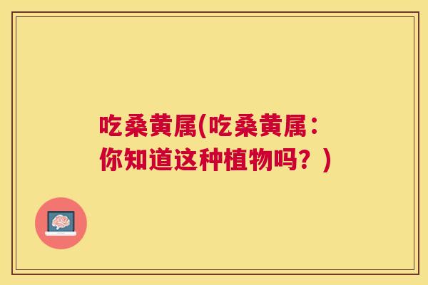吃桑黄属(吃桑黄属:你知道这种植物吗?) 吃桑黄属(吃桑黄属:你知道这种植物吗?)