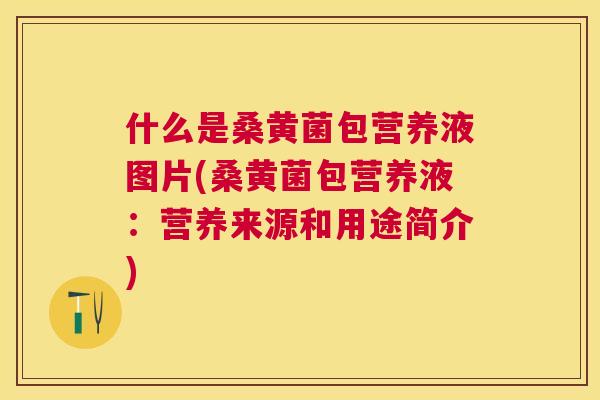 什么是桑黄菌包营养液图片(桑黄菌包营养液:营养来源和用途简介) 什么是桑黄菌包营养液图片(桑黄菌包营养液:营养来源和用途简介)
