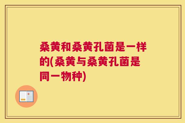 桑黄和桑黄孔菌是一样的(桑黄与桑黄孔菌是同一物种) 桑黄和桑黄孔菌是一样的(桑黄与桑黄孔菌是同一物种)