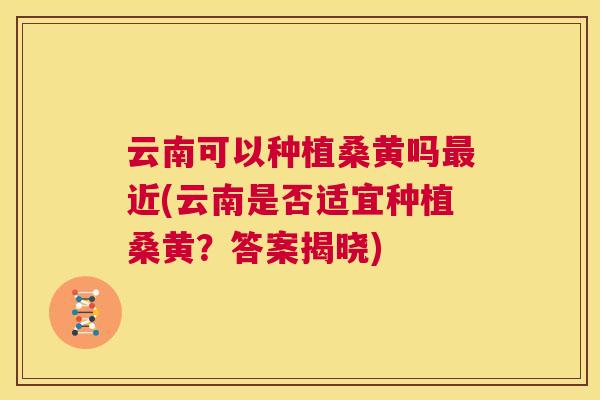 云南可以种植桑黄吗近(云南是否适宜种植桑黄?答案揭晓) 云南可以种植桑黄吗近(云南是否适宜种植桑黄?答案揭晓)