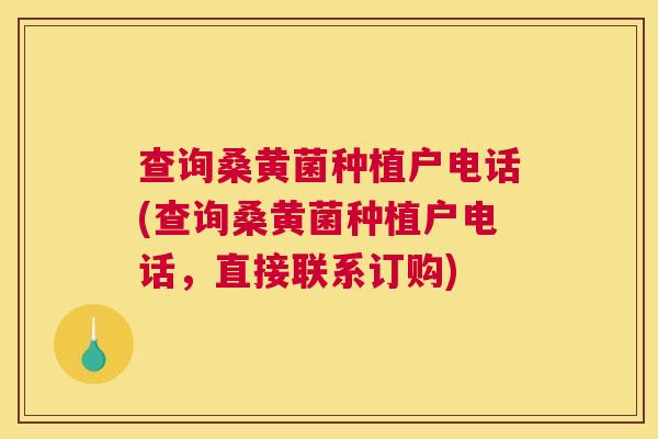 查询桑黄菌种植户电话(查询桑黄菌种植户电话,直接联系订购) 查询桑黄菌种植户电话(查询桑黄菌种植户电话,直接联系订购)