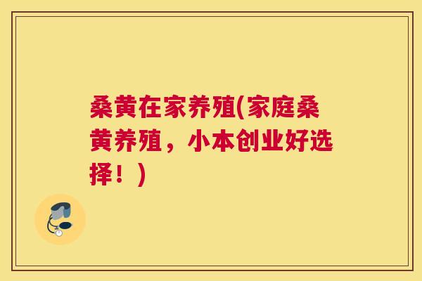 桑黄在家养殖(家庭桑黄养殖,小本创业好选择!) 桑黄在家养殖(家庭桑黄养殖,小本创业好选择!)