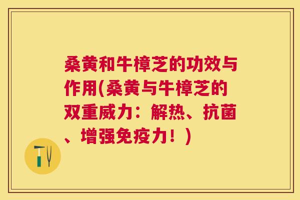 桑黄和牛樟芝的功效与作用(桑黄与牛樟芝的双重威力:解热、、增强力!) 桑黄和牛樟芝的功效与作用(桑黄与牛樟芝的双重威力:解热、、增强力!)