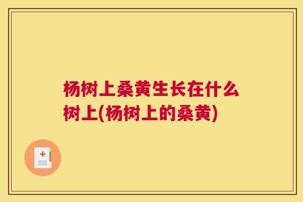 杨树上桑黄生长在什么树上(杨树上的桑黄) 杨树上桑黄生长在什么树上(杨树上的桑黄)