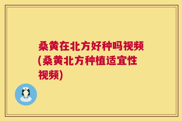 桑黄在北方好种吗视频(桑黄北方种植适宜性视频) 桑黄在北方好种吗视频(桑黄北方种植适宜性视频)