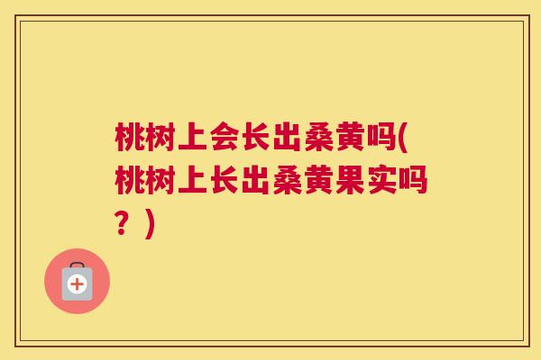 桃树上会长出桑黄吗(桃树上长出桑黄果实吗?) 桃树上会长出桑黄吗(桃树上长出桑黄果实吗?)
