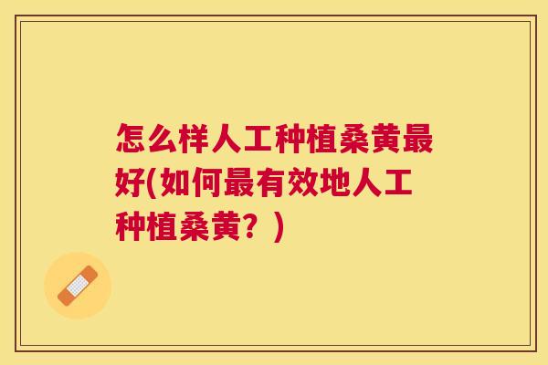 怎么样人工种植桑黄好(如何有效地人工种植桑黄?) 怎么样人工种植桑黄好(如何有效地人工种植桑黄?)