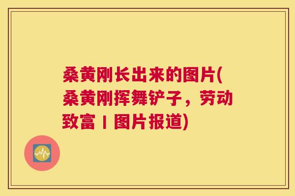 桑黄刚长出来的图片(桑黄刚挥舞铲子,劳动致富丨图片报道) 桑黄刚长出来的图片(桑黄刚挥舞铲子,劳动致富丨图片报道)