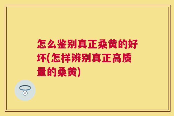 怎么鉴别真正桑黄的好坏(怎样辨别真正高质量的桑黄) 怎么鉴别真正桑黄的好坏(怎样辨别真正高质量的桑黄)