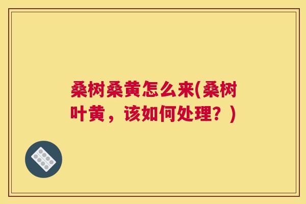 桑树桑黄怎么来(桑树叶黄,该如何处理?) 桑树桑黄怎么来(桑树叶黄,该如何处理?)