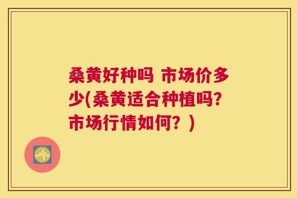 桑黄好种吗 市场价多少(桑黄适合种植吗?市场行情如何?) 桑黄好种吗 市场价多少(桑黄适合种植吗?市场行情如何?)