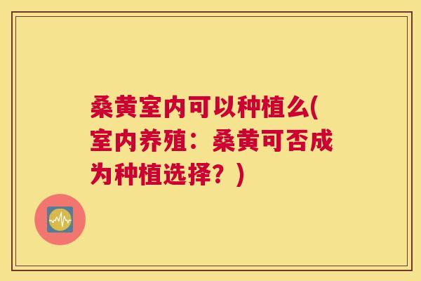 桑黄室内可以种植么(室内养殖：桑黄可否成为种植选择？)