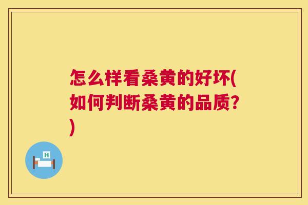 怎么样看桑黄的好坏(如何判断桑黄的品质?) 怎么样看桑黄的好坏(如何判断桑黄的品质?)