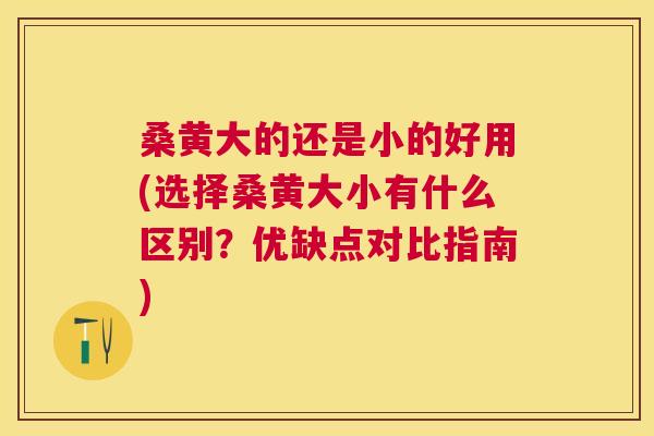 桑黄大的还是小的好用(选择桑黄大小有什么区别?优缺点对比指南) 桑黄大的还是小的好用(选择桑黄大小有什么区别?优缺点对比指南)