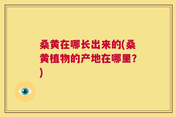 桑黄在哪长出来的(桑黄植物的产地在哪里?) 桑黄在哪长出来的(桑黄植物的产地在哪里?)