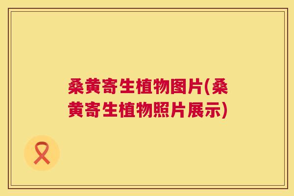 桑黄寄生植物图片(桑黄寄生植物照片展示) 桑黄寄生植物图片(桑黄寄生植物照片展示)