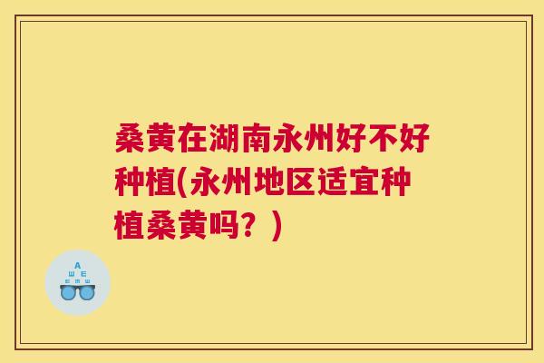 桑黄在湖南永州好不好种植(永州地区适宜种植桑黄吗?) 桑黄在湖南永州好不好种植(永州地区适宜种植桑黄吗?)