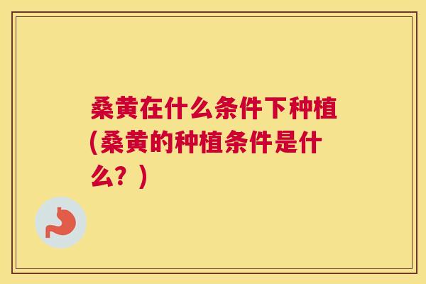 桑黄在什么条件下种植(桑黄的种植条件是什么?) 桑黄在什么条件下种植(桑黄的种植条件是什么?)