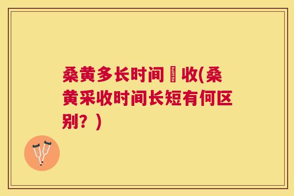 桑黄多长时间釆收(桑黄采收时间长短有何区别?) 桑黄多长时间釆收(桑黄采收时间长短有何区别?)