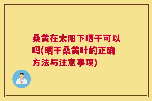 桑黄在太阳下晒干可以吗(晒干桑黄叶的正确方法与注意事项) 桑黄在太阳下晒干可以吗(晒干桑黄叶的正确方法与注意事项)