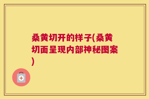 桑黄切开的样子(桑黄切面呈现内部神秘图案) 桑黄切开的样子(桑黄切面呈现内部神秘图案)