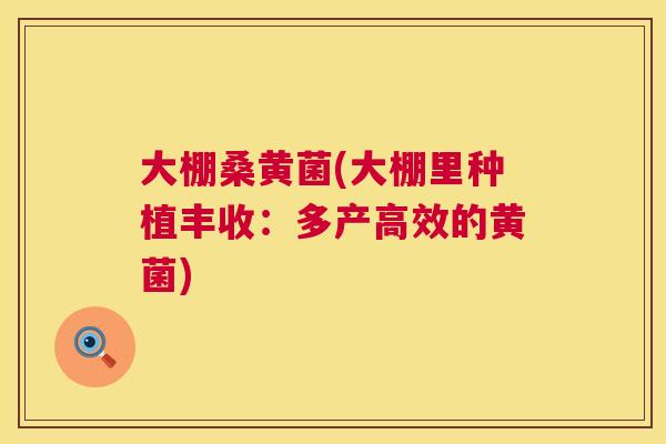 大棚桑黄菌(大棚里种植丰收：多产高效的黄菌)