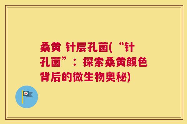 桑黄 针层孔菌(“针孔菌”:探索桑黄颜色背后的微生物奥秘) 桑黄 针层孔菌(“针孔菌”:探索桑黄颜色背后的微生物奥秘)
