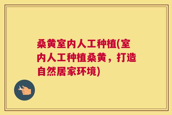 桑黄室内人工种植(室内人工种植桑黄,打造自然居家环境) 桑黄室内人工种植(室内人工种植桑黄,打造自然居家环境)
