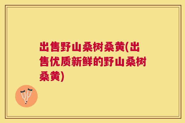 出售野山桑树桑黄(出售优质新鲜的野山桑树桑黄) 出售野山桑树桑黄(出售优质新鲜的野山桑树桑黄)