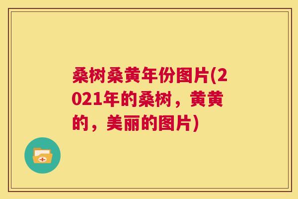 桑树桑黄年份图片(2021年的桑树,黄黄的,美丽的图片) 桑树桑黄年份图片(2021年的桑树,黄黄的,美丽的图片)