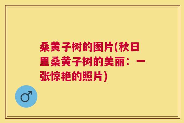 桑黄子树的图片(秋日里桑黄子树的美丽:一张惊艳的照片) 桑黄子树的图片(秋日里桑黄子树的美丽:一张惊艳的照片)