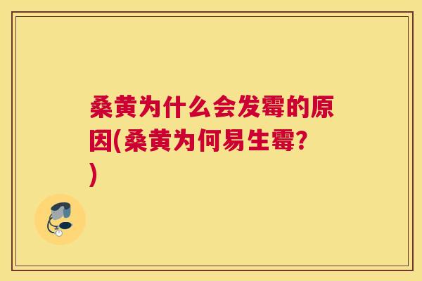 桑黄为什么会发霉的原因(桑黄为何易生霉?) 桑黄为什么会发霉的原因(桑黄为何易生霉?)
