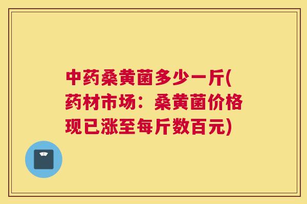 桑黄菌多少一斤(药材市场:桑黄菌价格现已涨至每斤数百元) 桑黄菌多少一斤(药材市场:桑黄菌价格现已涨至每斤数百元)