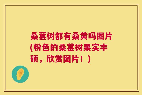 桑葚树都有桑黄吗图片(粉色的桑葚树果实丰硕,欣赏图片!) 桑葚树都有桑黄吗图片(粉色的桑葚树果实丰硕,欣赏图片!)