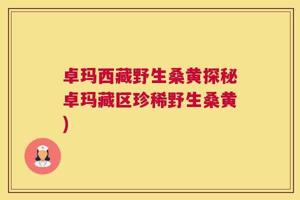 卓玛西藏野生桑黄探秘卓玛藏区珍稀野生桑黄) 卓玛西藏野生桑黄探秘卓玛藏区珍稀野生桑黄)