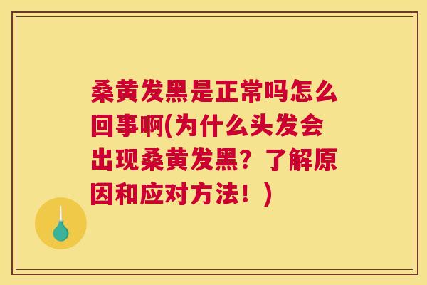 桑黄发黑是正常吗怎么回事啊(为什么头发会出现桑黄发黑?了解原因和应对方法!) 桑黄发黑是正常吗怎么回事啊(为什么头发会出现桑黄发黑?了解原因和应对方法!)