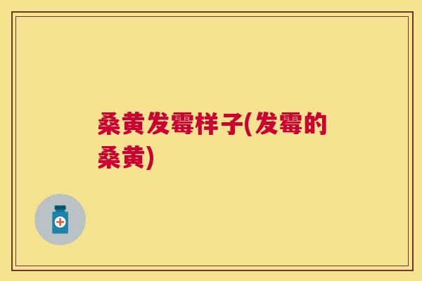 桑黄发霉样子(发霉的桑黄) 桑黄发霉样子(发霉的桑黄)