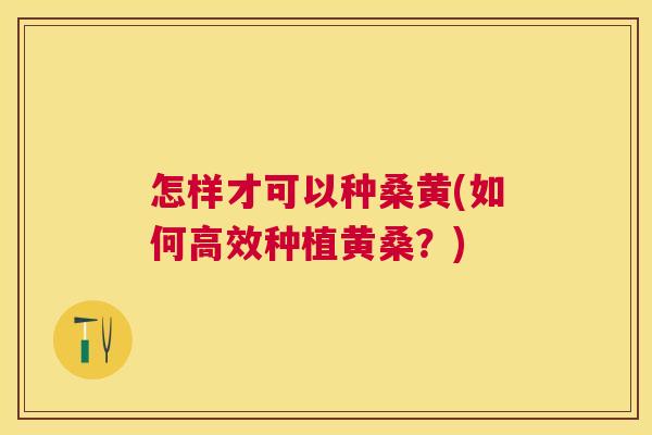 怎样才可以种桑黄(如何高效种植黄桑?) 怎样才可以种桑黄(如何高效种植黄桑?)