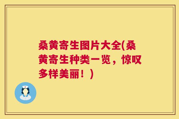 桑黄寄生图片大全(桑黄寄生种类一览,惊叹多样美丽!) 桑黄寄生图片大全(桑黄寄生种类一览,惊叹多样美丽!)