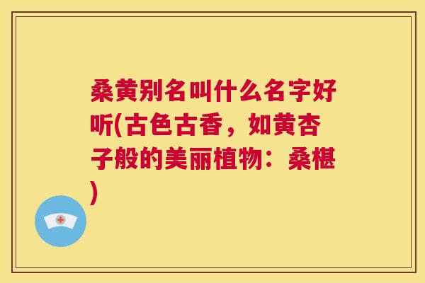 桑黄别名叫什么名字好听(古色古香,如黄杏子般的美丽植物:桑椹) 桑黄别名叫什么名字好听(古色古香,如黄杏子般的美丽植物:桑椹)