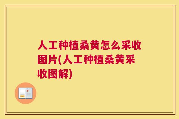 人工种植桑黄怎么采收图片(人工种植桑黄采收图解) 人工种植桑黄怎么采收图片(人工种植桑黄采收图解)