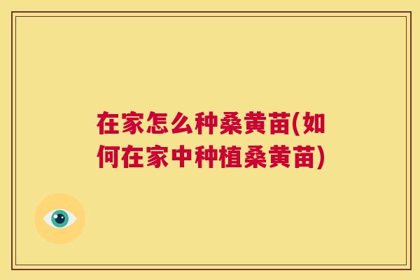 在家怎么种桑黄苗(如何在家中种植桑黄苗) 在家怎么种桑黄苗(如何在家中种植桑黄苗)